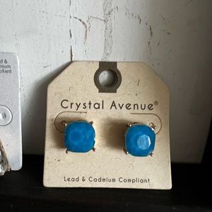 NWT Blue Stud earrings